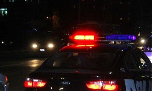 Өсвөр насны охидууд нийлж нэгнийгээ зоджээ